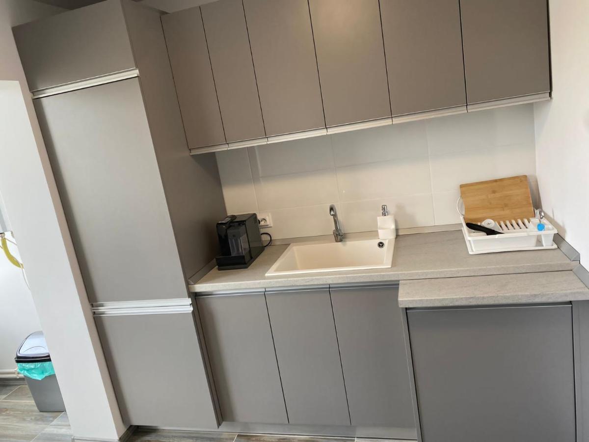 Alesandru Apartament Pitesti Exterior photo